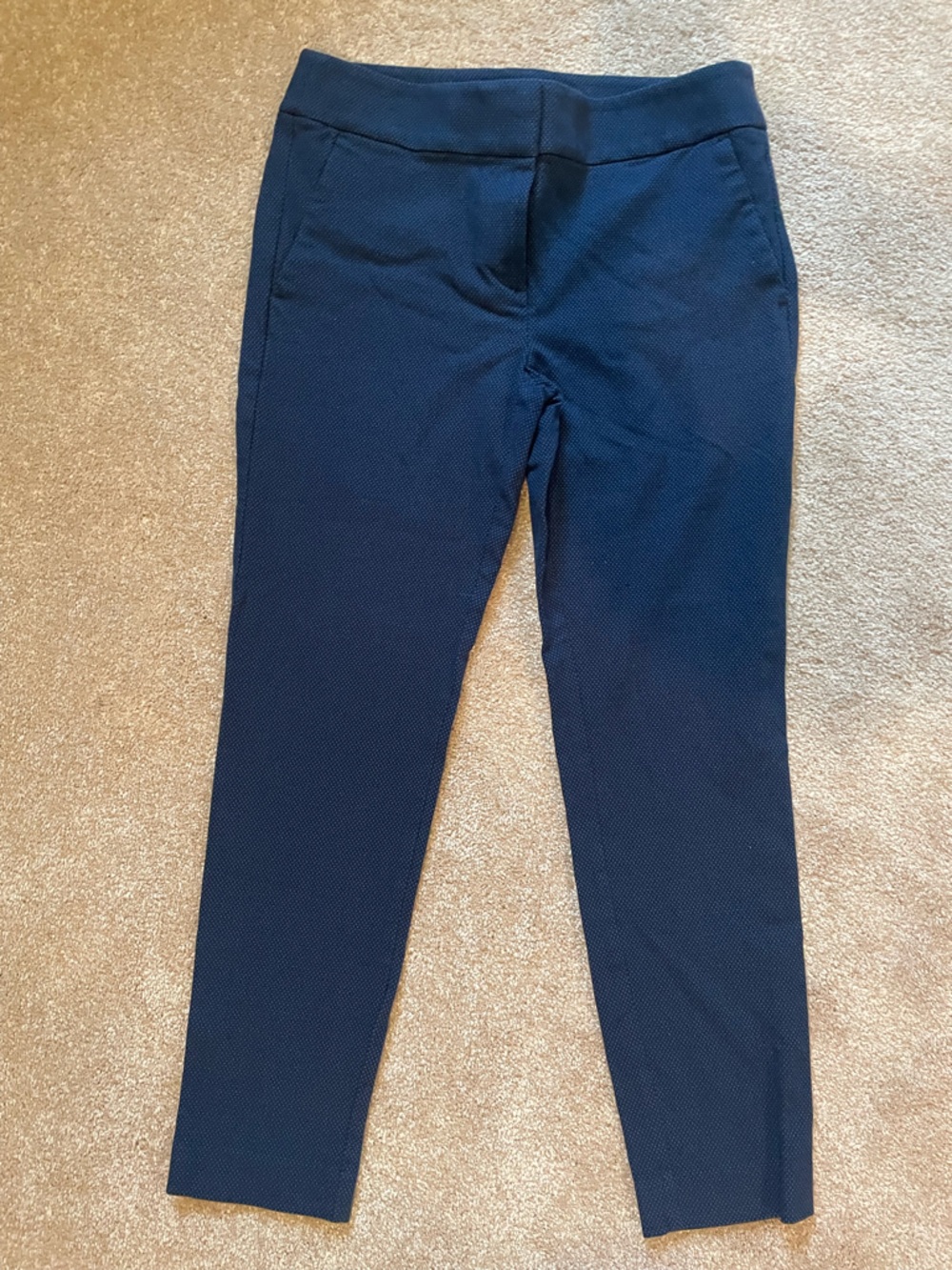 LOFT Navy and Teal Textured Pants